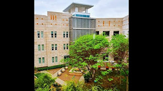 Hamad Bin Khalifa University Scholarship Playlist